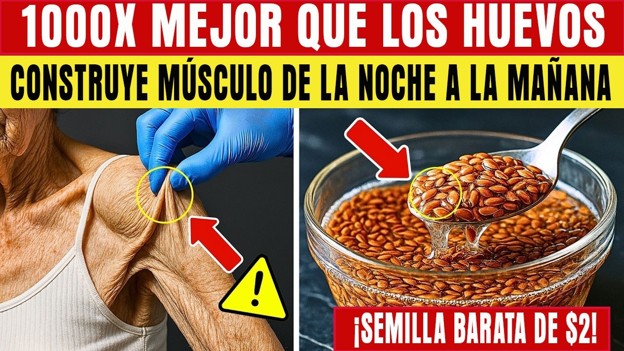 Cirujano Ortopédico Revela ESTA Semilla Tiene 1.000.000x Más Aminos que los Huevos Después de los 75