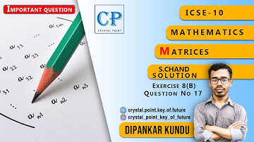 ICSE 10 MATH MATRICES S CHAND SOLUTION EX 8B Q 17