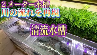 【Tank hut】Clear stream tank (1) 2 meter tank for freshwater fish has been launched!