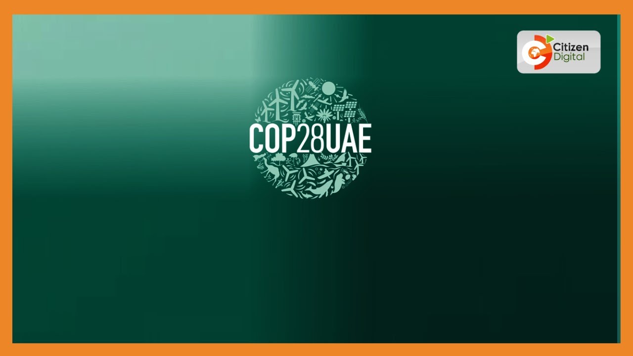 COP28 Climate Change | Civil society groups hold protest march in Dubai