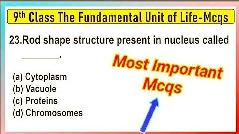 The Fundamental Unit of Life Class 9 MCQs Questions with Answers | Class 9 Session 2024-25
