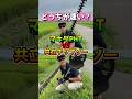 最速草刈り対決!どっちが速く刈り終わる? #せーせーファーム #まーとんtvのパクリ #草刈り