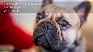 Eu-Domstolen Husdjur Klassas Som Bagage