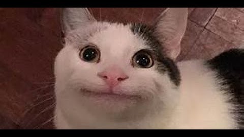 Shortest song i’ve ever made