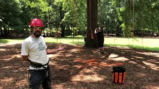 Tree Climbing at Panola Mountain | Arabia Mountain NHA