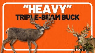 Monster Mule Deer Named 