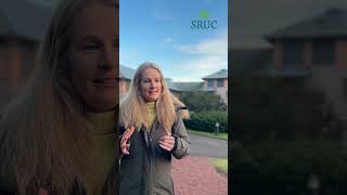 How does it work to study via online distance learning at postgraduate level