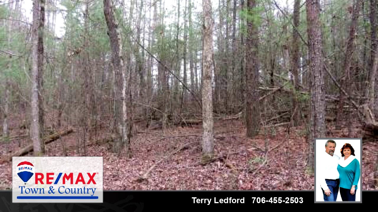 Lots And Land for sale 1.89 Hurley Lane, Epworth, GA 30541 YouTube