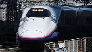 E2系1000番台+E3系2000番台 やまびこ・つばさ137号仙台・新庄行き 東京駅到着