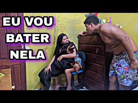 rotwalle protegeu a sua dona contra o marido agressor.