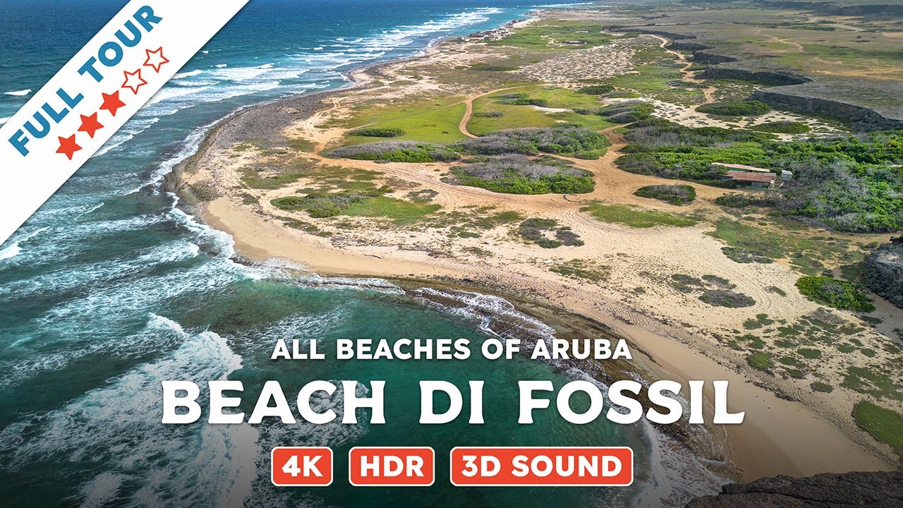 Beach di Fossil, Aruba — Beach Walking Videos of ALL Beaches of Aruba (4K, HDR, 3D Sound)