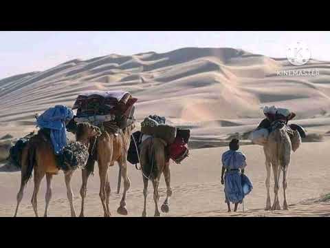 جديد الموفيد احمد سيدي و ابراهيم لقطاب كلمات الصالح اعلي احمدة 