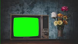 Green Screen Retro Old TV