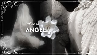 dangerous Fallen Angel     Beauty Subliminal 