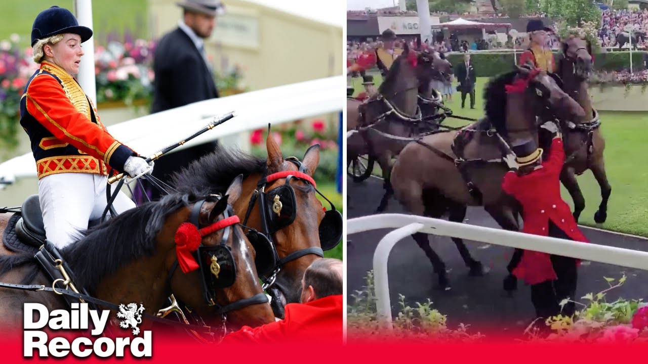 Horse pulling Princess Beatrice and husband at Ascot bolts after being