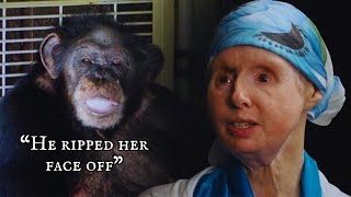 The Shocking Chimpanzee Attack | Travis and Charla Nash’s Story