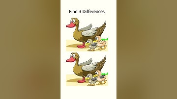 Can you find the hidden differences?