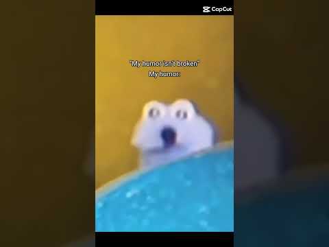 fodirytu