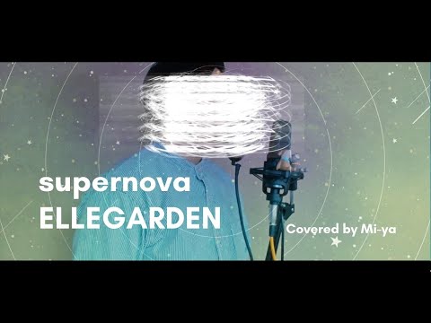Supernova / ELLEGARDEN (Covered by Mi-ya)