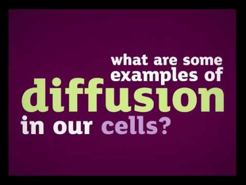 Diffusion Video Y7
