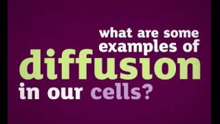 Diffusion Video Y7
