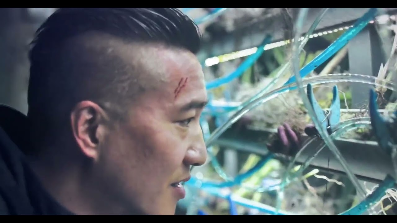 Financial Crisis 2023?