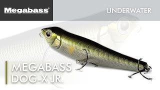 Megabass : Dog-X Jr. - Underwater (Lure Action)