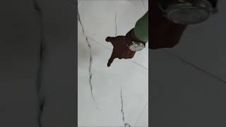 Vitrified Tileslagate Time Ye Galti Ho Gayi