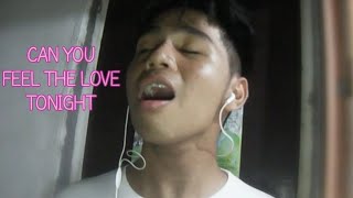 Can You Feel The Love Tonight (from Disney's 'The Lion King') - Cover by 16 years old Aaron