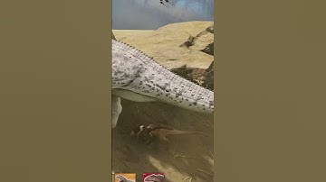 Path of Titans | Compelling PVP Combat Gameplay #shorts #pathoftitans