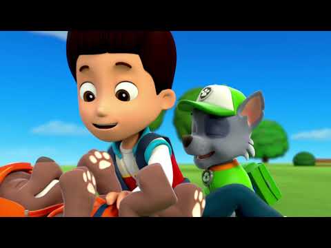 Pups Run Over To Ryder - Paw Patrol