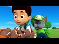 Pups run over to ryder  paw patrol