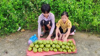 Abandoned boys and girls, pick up fruits and sell them for money to buy food | Ly Dinh Quang