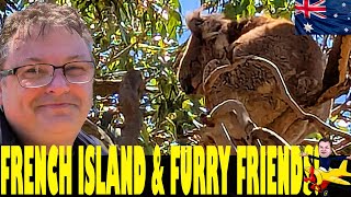 Hiking Victoria's LEAST KNOWN Island - French Island Vlog Including KOALAS!