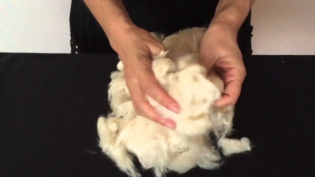 Kapok fiber explained YouTube