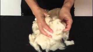 Kapok fiber explained