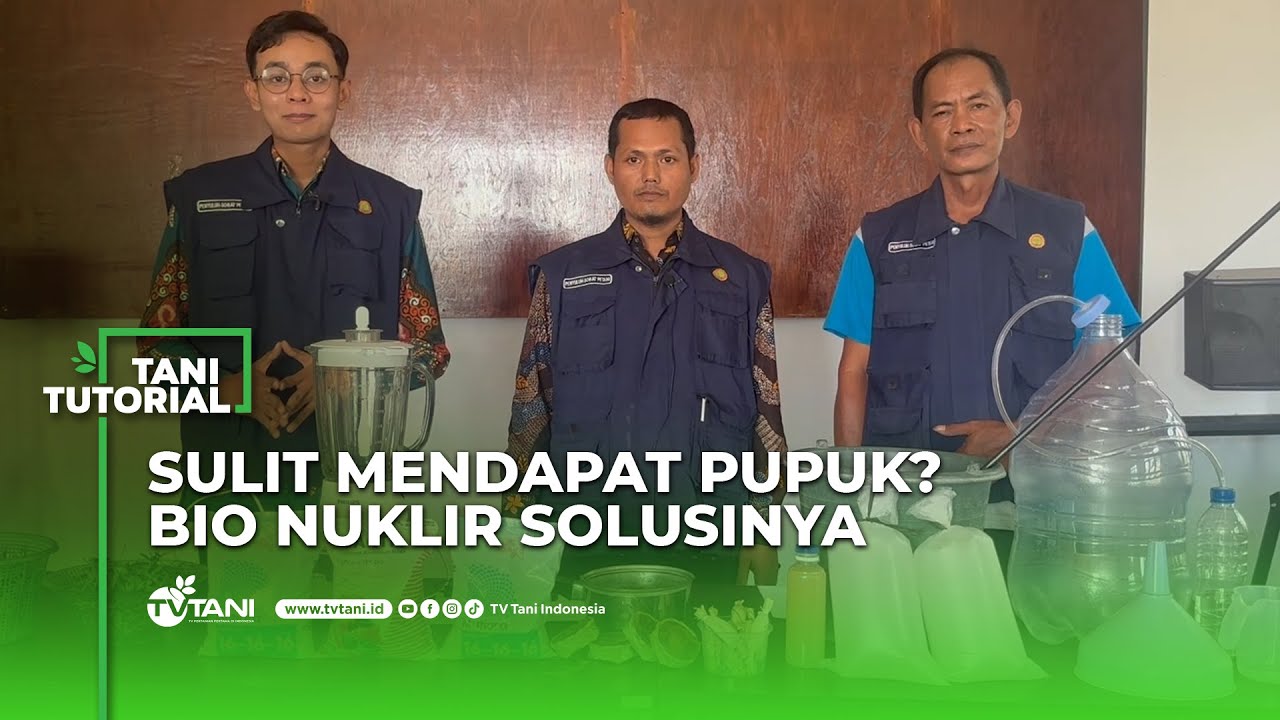 Cara Membuat Pupuk Organik Bio Nuklir untuk Tanaman