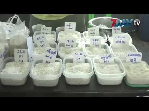 tv kanalları လာမယ့္ဘ႑ႏွစ္မွာ ျပည္ပကို ဆန္တန္ခ်ိန္ႏွစ္သန္းခြဲတင္ပို႕ဖို႕မွန္းထား