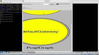 PcapXray