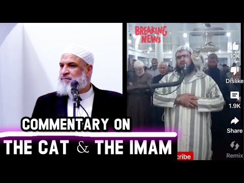 Cat reacts to Imam reciting Quran & why this sparked the interest of NonMuslims | Sh. Karim AbuZaid