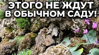 ЭТОГО НЕ ЖДУТ В ОБЫЧНОМ САДУ! Орхидеи на блоках, цикламены и редкие папоротники
