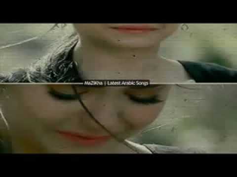 جاءت المزه تمشي في حياء وشموخ 