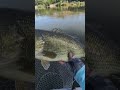New PB, 6.10 lbs.