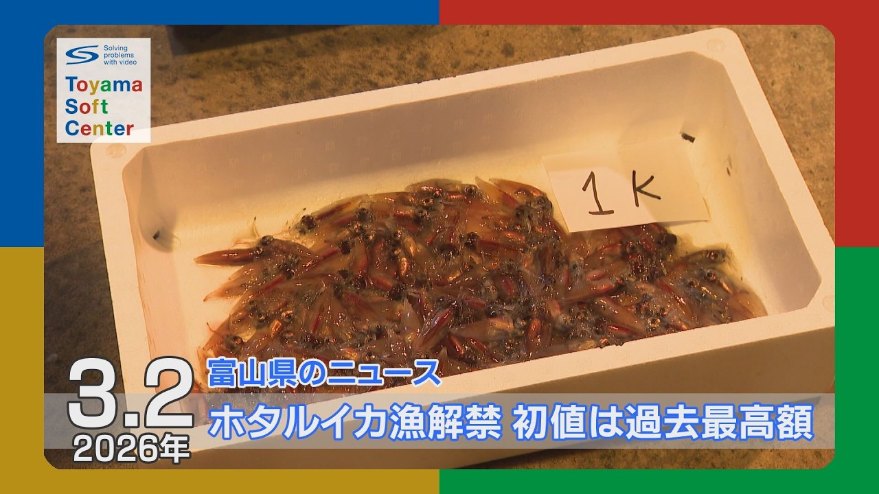 ホタルイカ漁解禁 初値は過去最高額【2026.3.2 富山県のニュース】