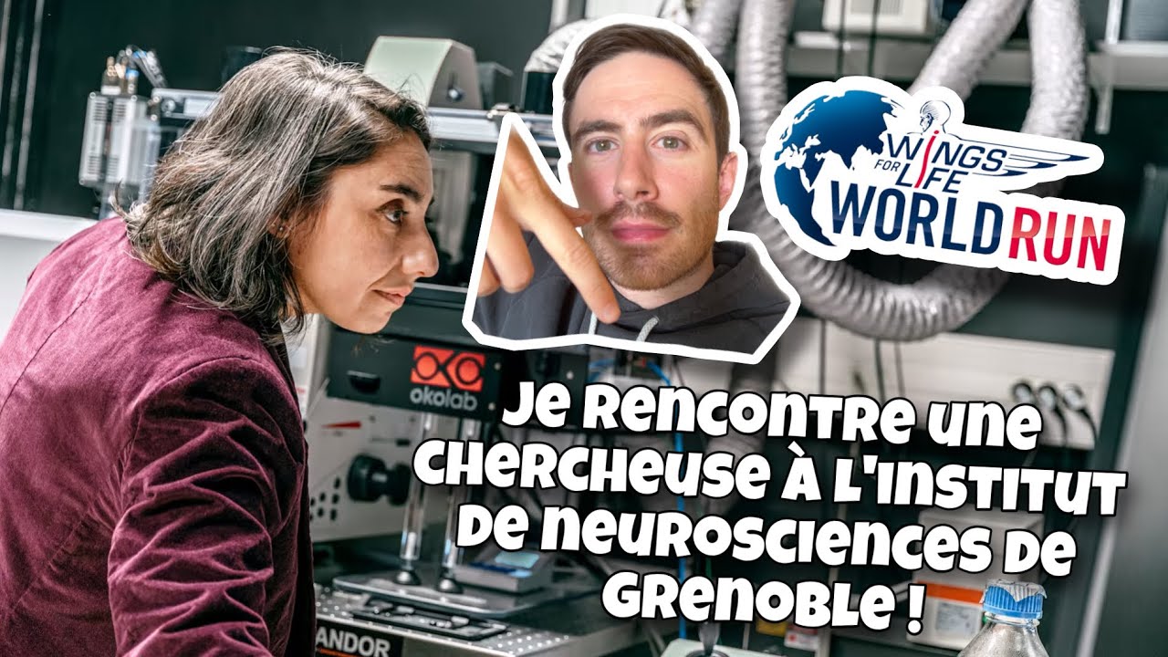 LA RECHERCHE SUR LA MOELLE EPINIERE : ÇA AVANCE !