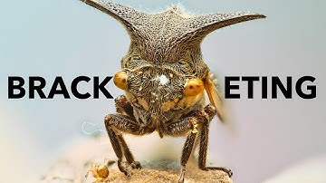 How to focus BRACKETING with a MANUAL lens