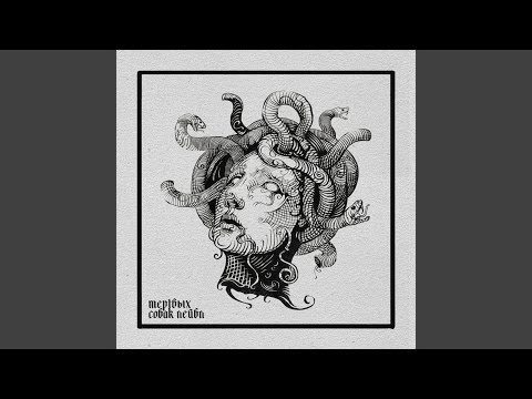PUSSYDEALLER - Страдания