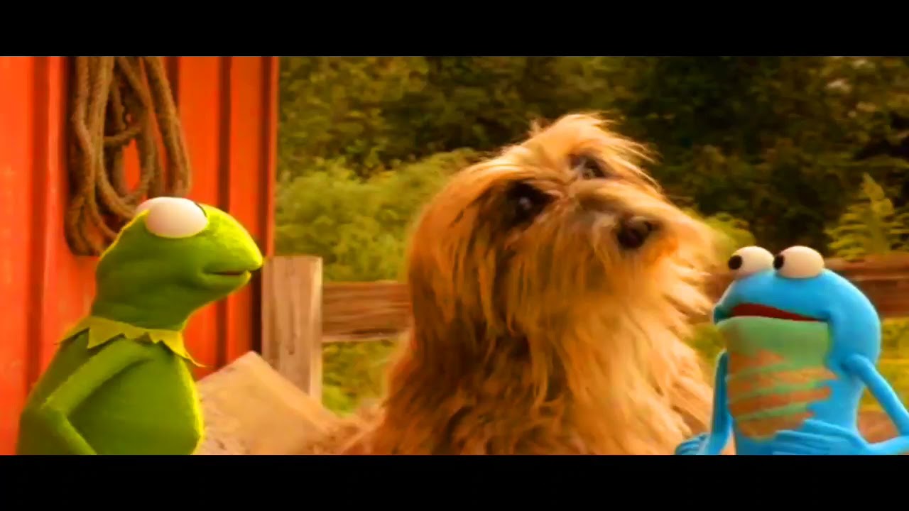 Kermit's Swamp Years Part 12 YouTube