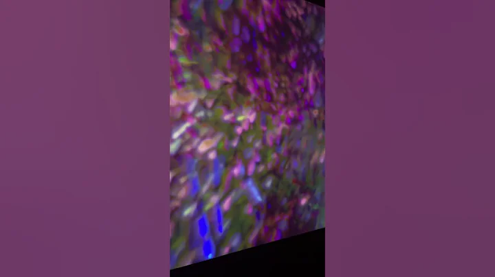 Amazing digital art at Museum of Brisbane, Austral...