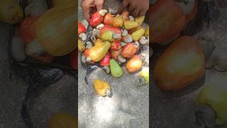 cashew nuts fruits..cashewfruitfryloverbiryanistreetfood viral fishfryyoutube youtubeshorts